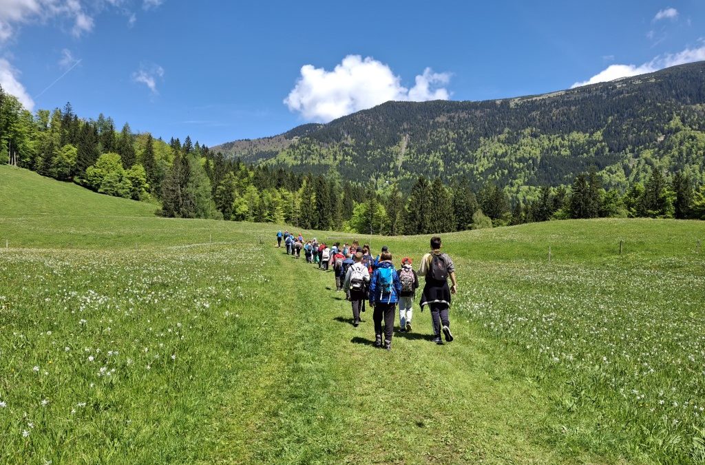 TABOR 4. B in 4. E – 3. dan